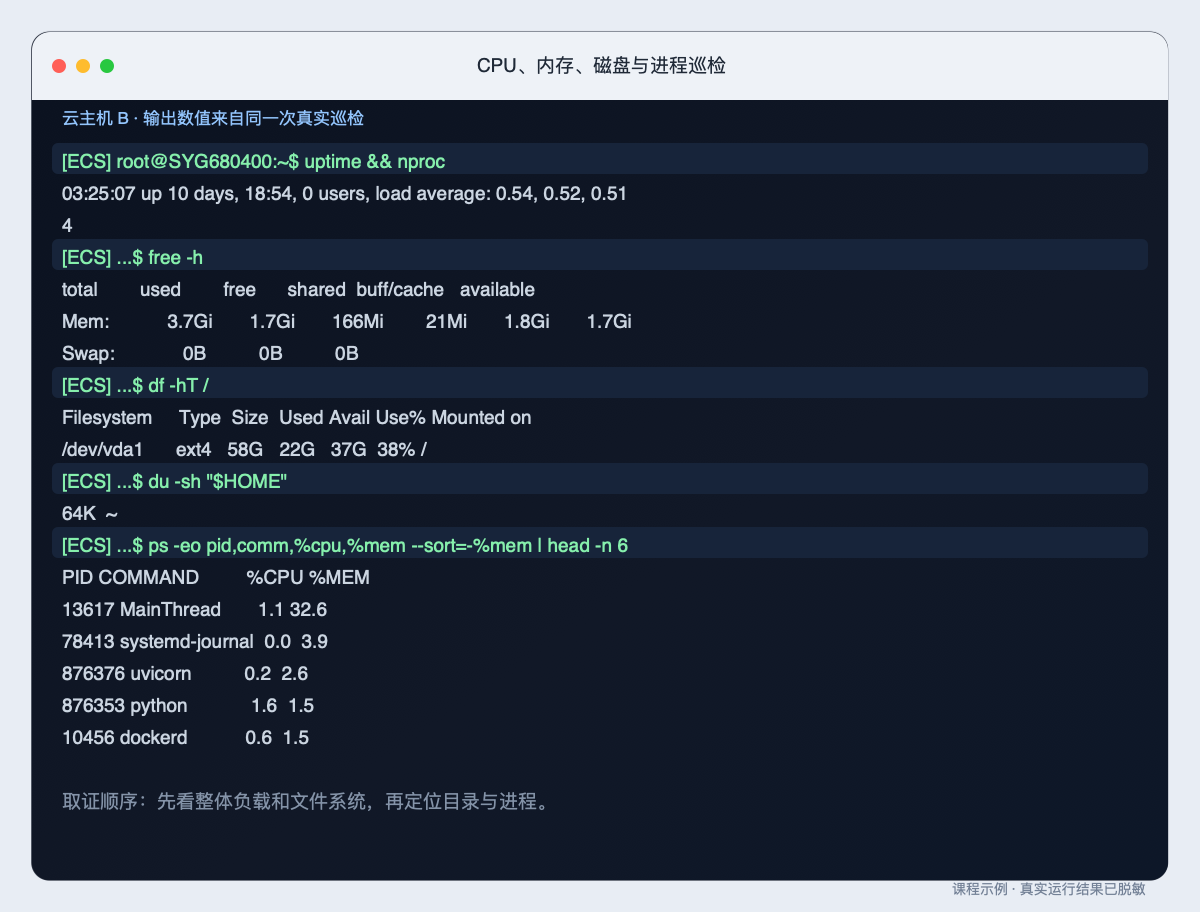 CPU、内存、磁盘与进程巡检的原始整页终端截图