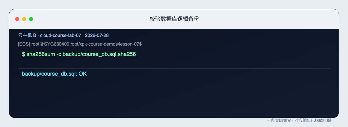 校验数据库逻辑备份的原始整页终端截图