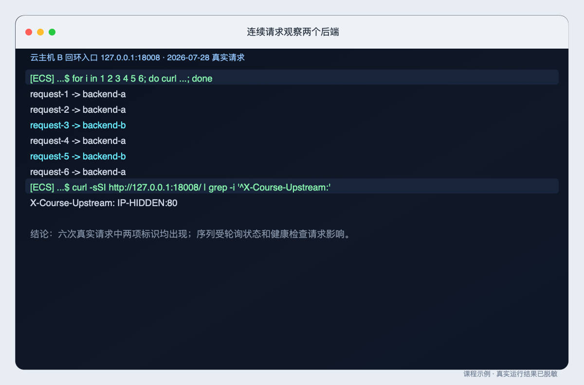 连续请求观察两个后端的原始整页终端截图