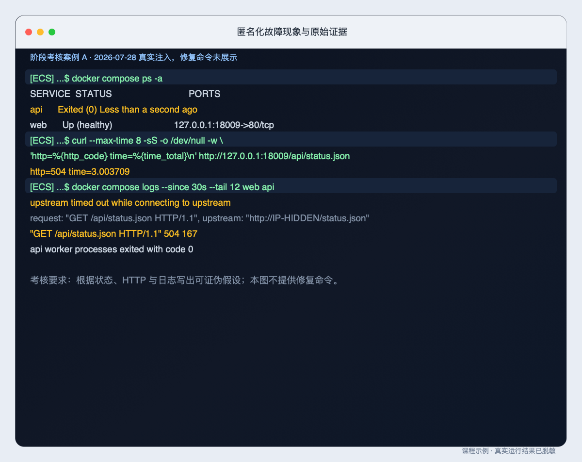 匿名化故障现象与原始证据的原始整页终端截图